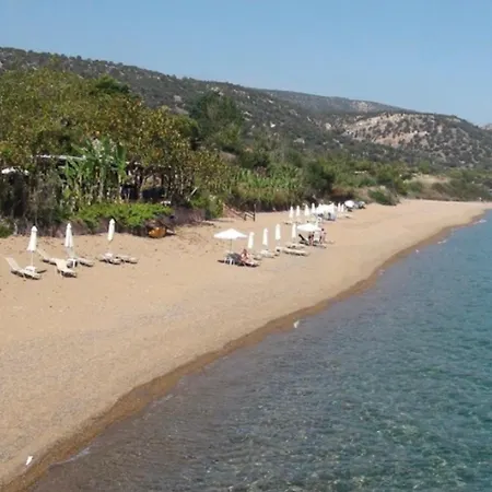 Apartament Akamas Throne Neo Chorio