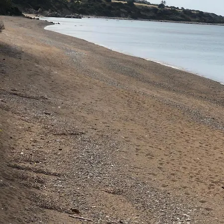 Akamas Throne Neo Chorio