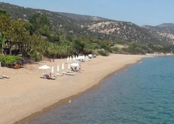 Lägenhet Akamas Throne