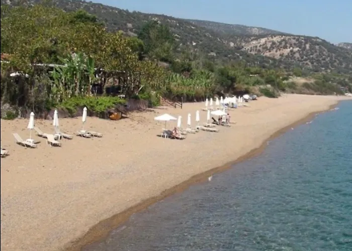 Apartment Akamas Throne Neo Chorio